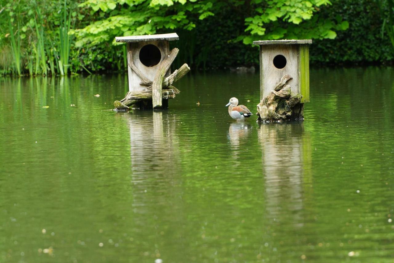 Gaestewohnung Hardinghaus Am Teich Варендорф Екстериор снимка
